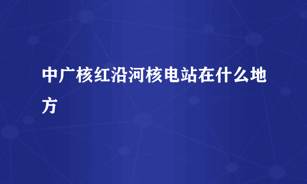 中广核红沿河核电站在什么地方