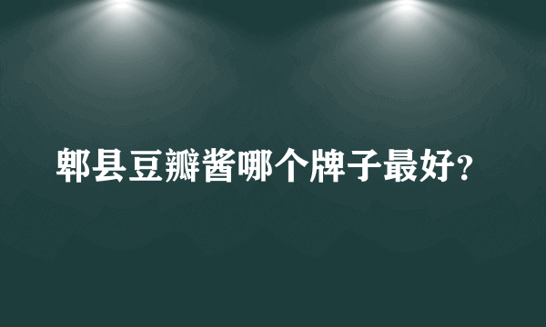 郫县豆瓣酱哪个牌子最好？