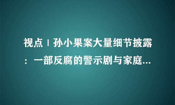 视点｜孙小果案大量细节披露：一部反腐的警示剧与家庭教育的悲剧