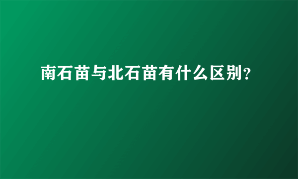 南石苗与北石苗有什么区别？