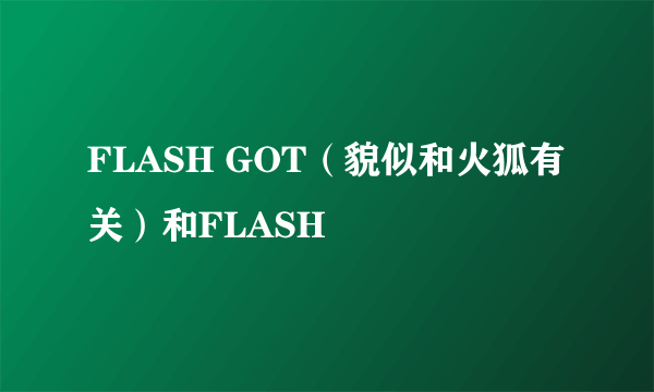 FLASH GOT（貌似和火狐有关）和FLASH