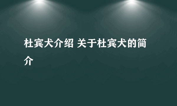 杜宾犬介绍 关于杜宾犬的简介