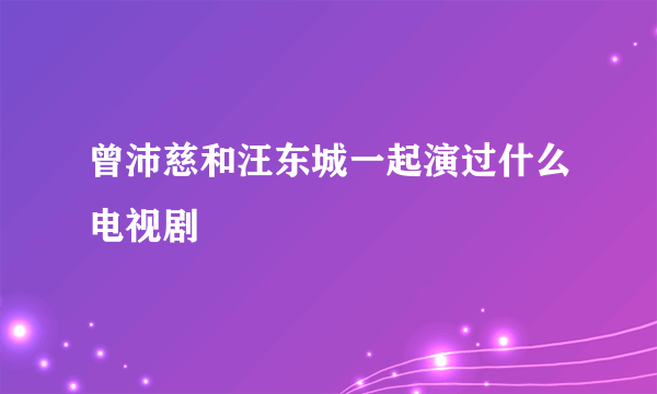 曾沛慈和汪东城一起演过什么电视剧