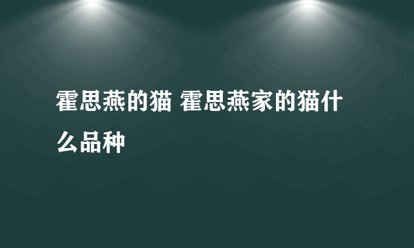 霍思燕的猫 霍思燕家的猫什么品种