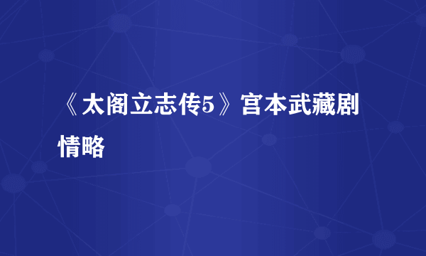 《太阁立志传5》宫本武藏剧情略