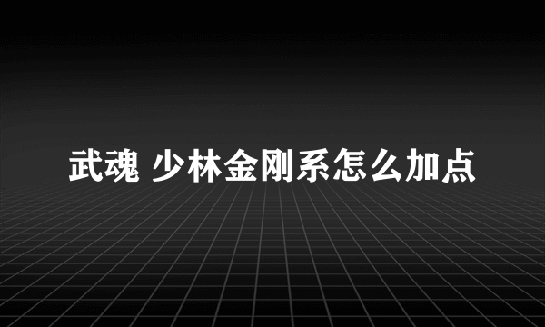 武魂 少林金刚系怎么加点