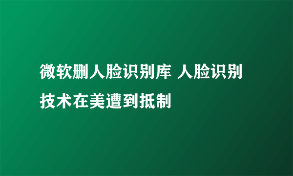 微软删人脸识别库 人脸识别技术在美遭到抵制