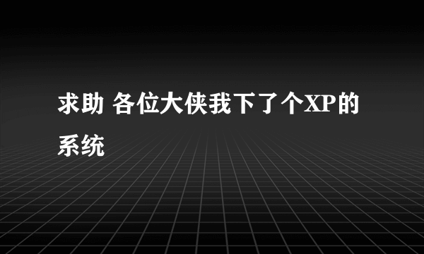 求助 各位大侠我下了个XP的系统