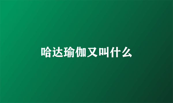 哈达瑜伽又叫什么