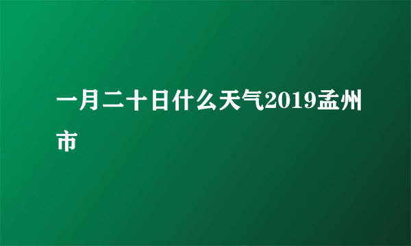 一月二十日什么天气2019孟州市