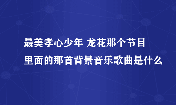 最美孝心少年 龙花那个节目里面的那首背景音乐歌曲是什么