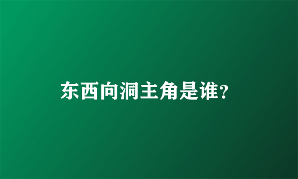 东西向洞主角是谁？