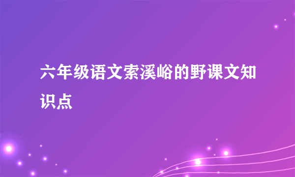 六年级语文索溪峪的野课文知识点