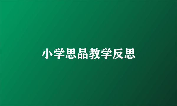 小学思品教学反思