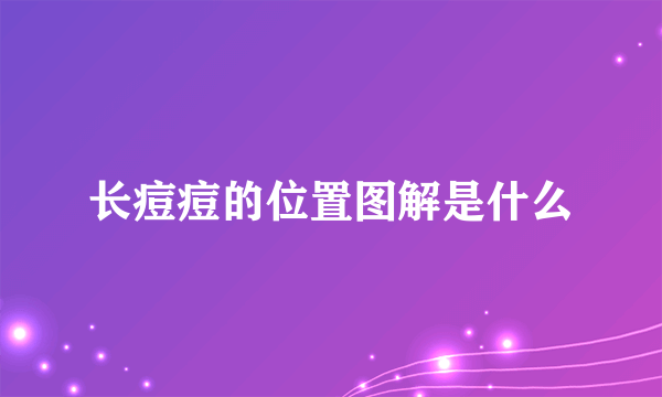 长痘痘的位置图解是什么