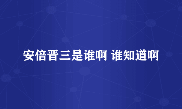 安倍晋三是谁啊 谁知道啊