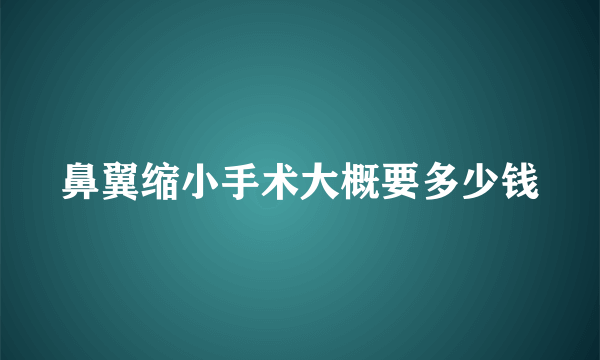 鼻翼缩小手术大概要多少钱