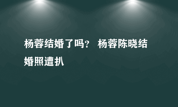 杨蓉结婚了吗？ 杨蓉陈晓结婚照遭扒