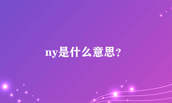 ny是什么意思？