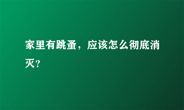 家里有跳蚤，应该怎么彻底消灭？