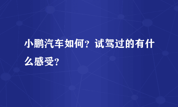 小鹏汽车如何？试驾过的有什么感受？