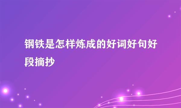 钢铁是怎样炼成的好词好句好段摘抄