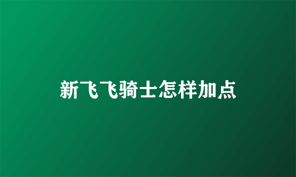 新飞飞骑士怎样加点