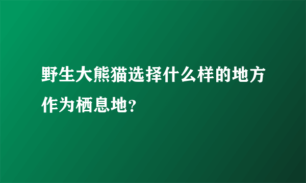 野生大熊猫选择什么样的地方作为栖息地？