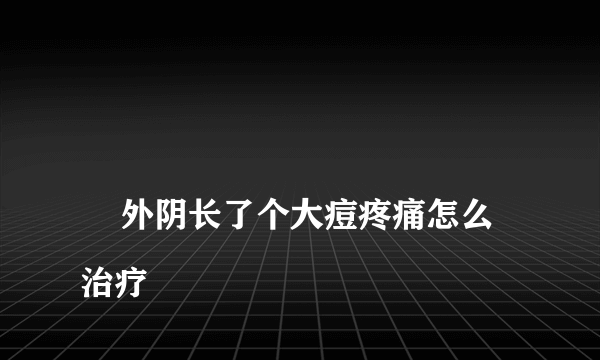 
    外阴长了个大痘疼痛怎么治疗
  