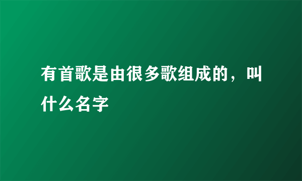 有首歌是由很多歌组成的，叫什么名字