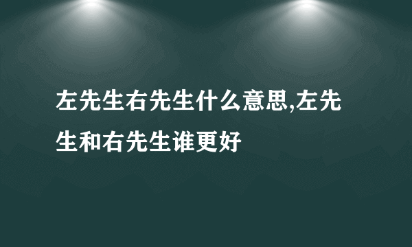 左先生右先生什么意思,左先生和右先生谁更好