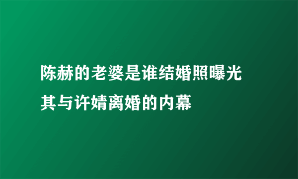 陈赫的老婆是谁结婚照曝光 其与许婧离婚的内幕