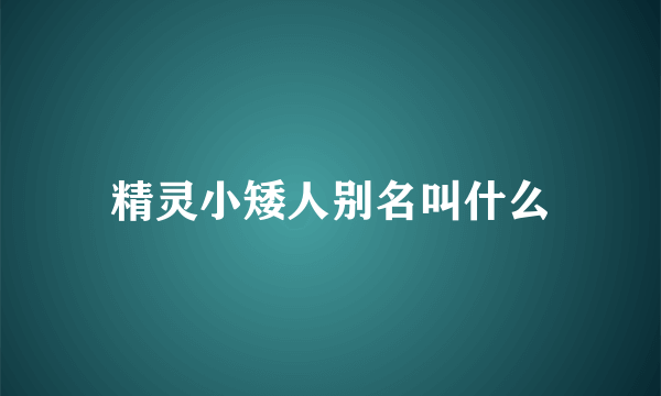 精灵小矮人别名叫什么