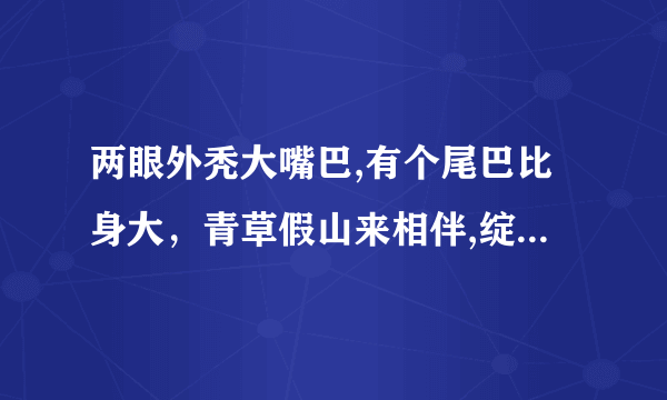 两眼外秃大嘴巴,有个尾巴比身大，青草假山来相伴,绽放朵朵大红花打一动物名