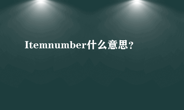 Itemnumber什么意思？