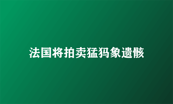 法国将拍卖猛犸象遗骸