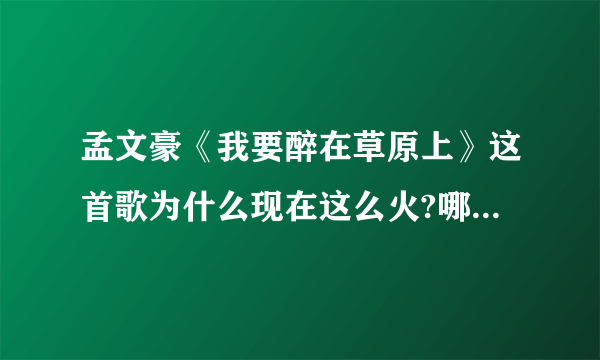 孟文豪《我要醉在草原上》这首歌为什么现在这么火?哪里有歌词？