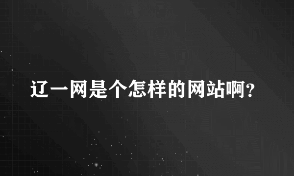 辽一网是个怎样的网站啊？