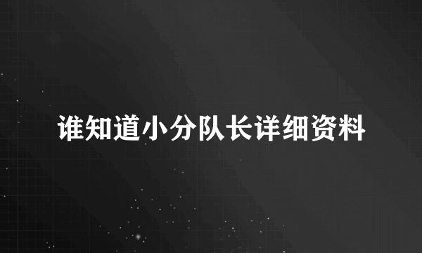 谁知道小分队长详细资料