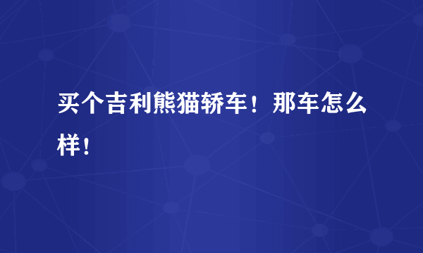 买个吉利熊猫轿车！那车怎么样！