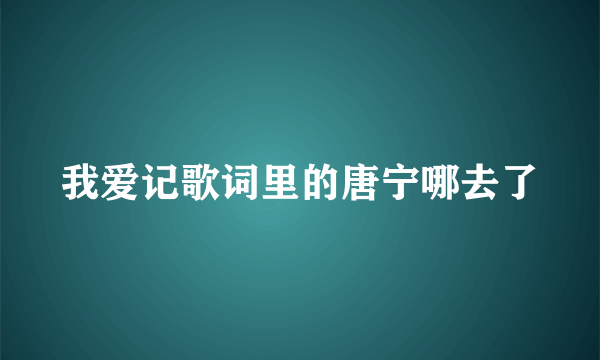 我爱记歌词里的唐宁哪去了