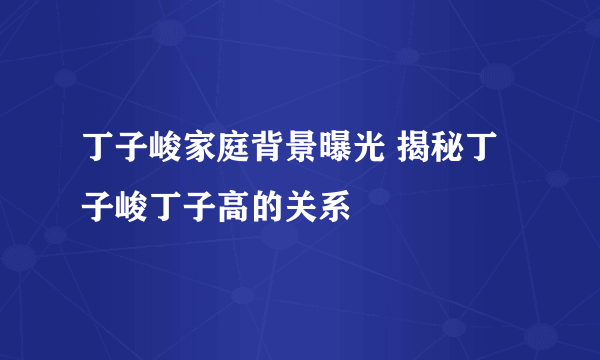 丁子峻家庭背景曝光 揭秘丁子峻丁子高的关系