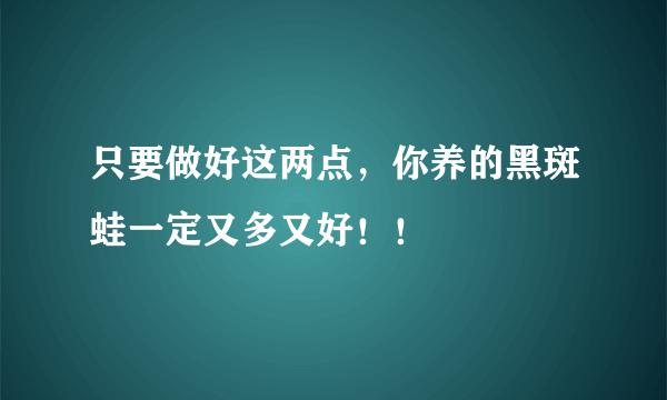 只要做好这两点，你养的黑斑蛙一定又多又好！！