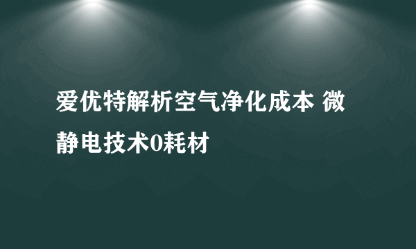 爱优特解析空气净化成本 微静电技术0耗材