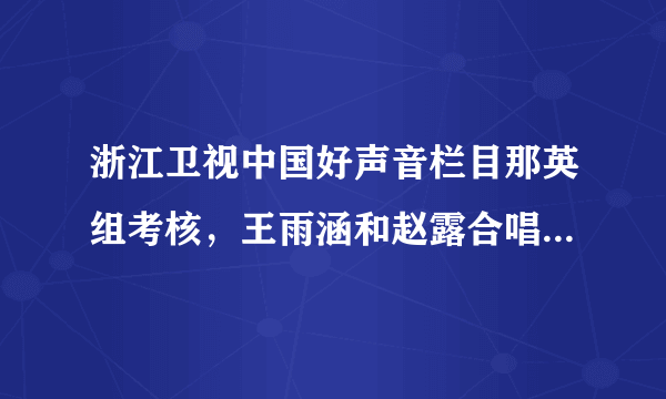 浙江卫视中国好声音栏目那英组考核，王雨涵和赵露合唱的那首歌是什么歌。谢谢