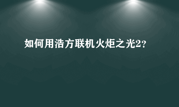 如何用浩方联机火炬之光2？