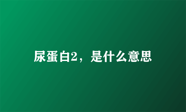 尿蛋白2，是什么意思