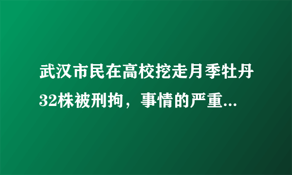 武汉市民在高校挖走月季牡丹32株被刑拘，事情的严重性体现在哪里？