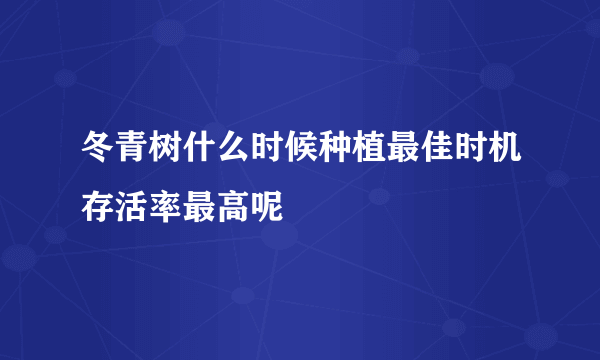 冬青树什么时候种植最佳时机存活率最高呢