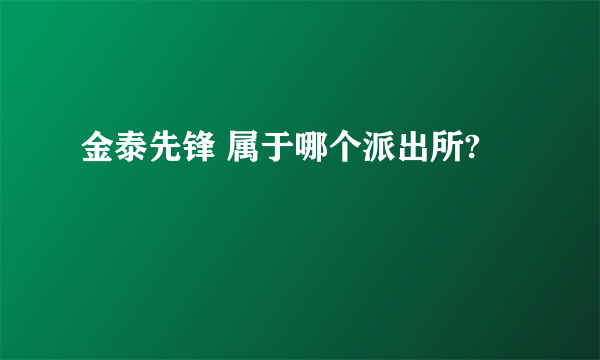 金泰先锋 属于哪个派出所?